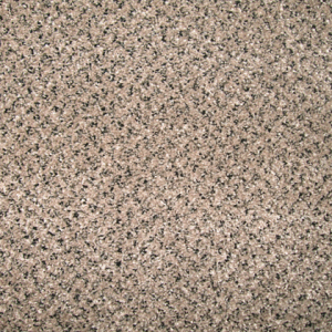 Allied Baltimore Gecko